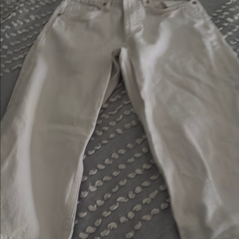 Zara Cream Pants
